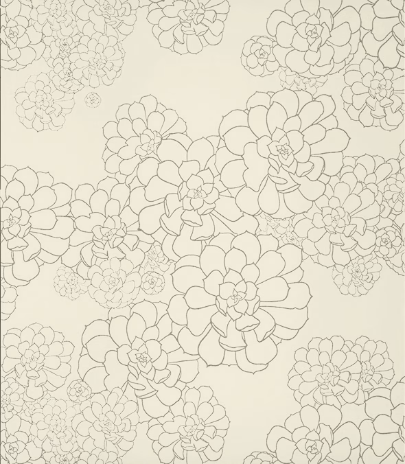 Обои Paint and Paper Library Tresco Aeonium Wattle 0393AEWATTL